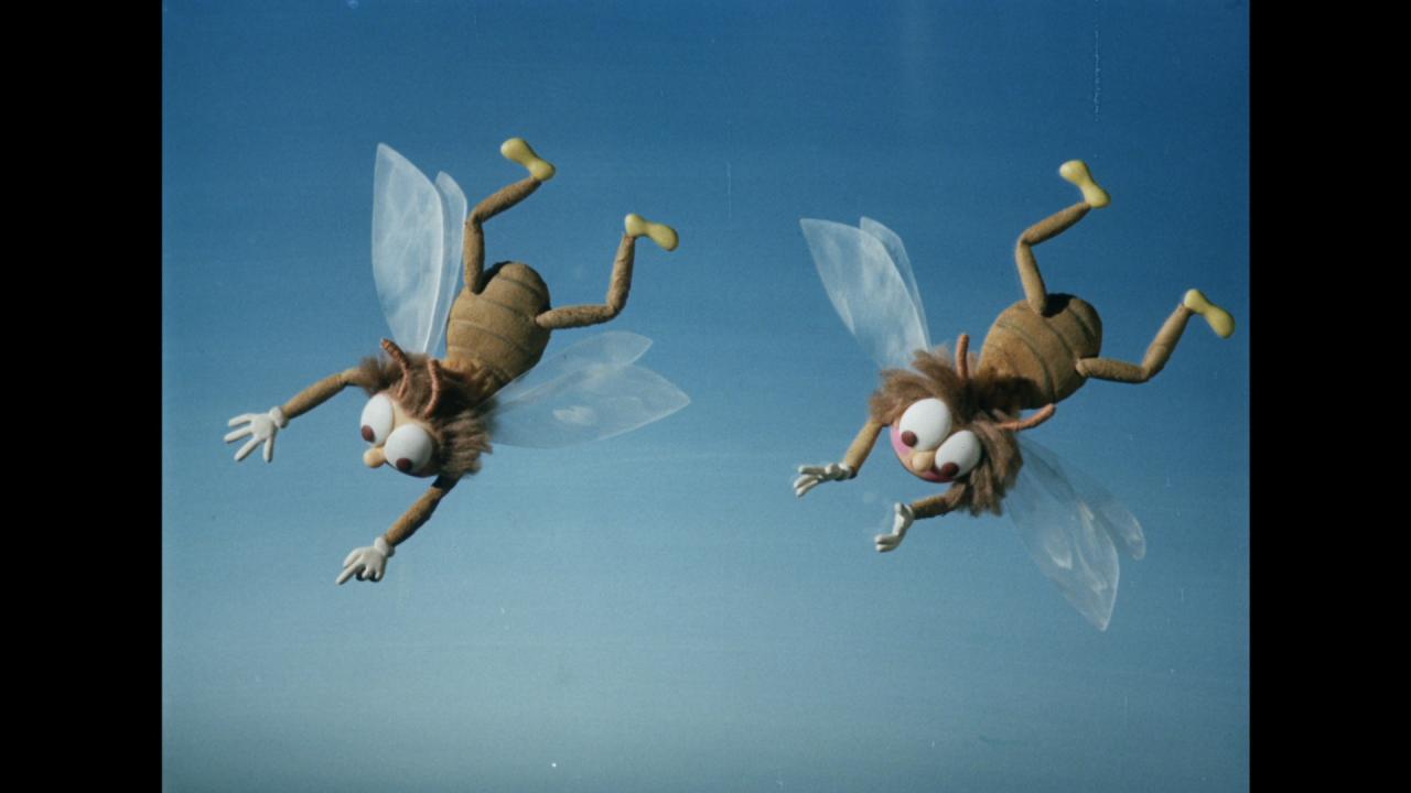 Pásmo animovaných filmů /  Різноманітність анімаційних фільмів