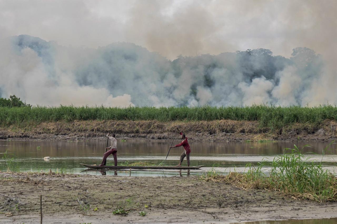 Prales zítřka – expedice do srdce Konga