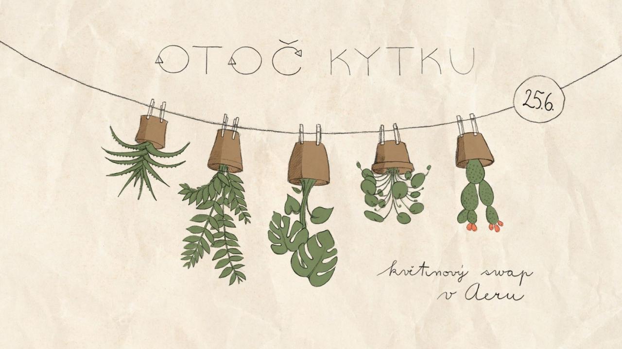 Otoč kytku v Aeru / Květinový swap ft. Farmářky z paneláku