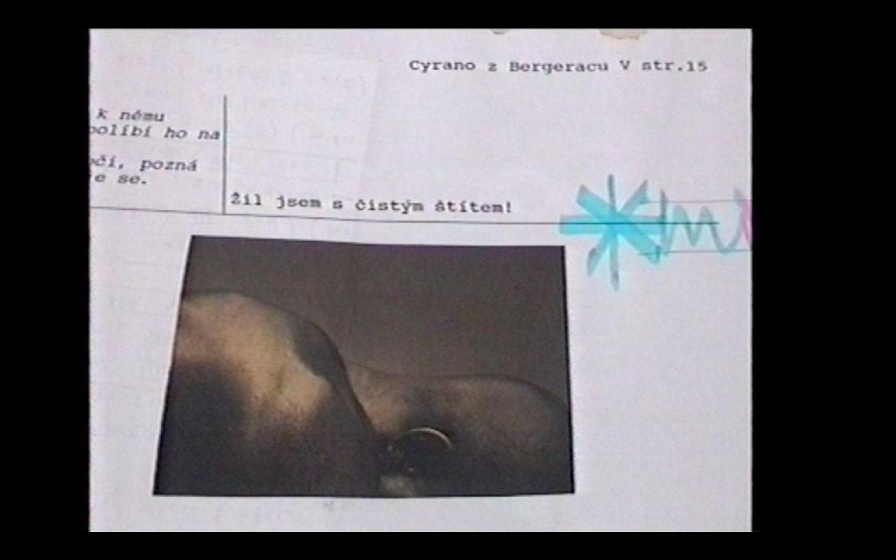 HOME VIDEO Jana Kačeny