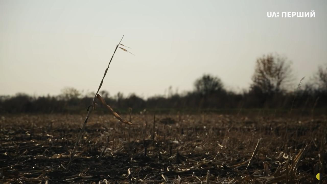 Děti velkého hladu