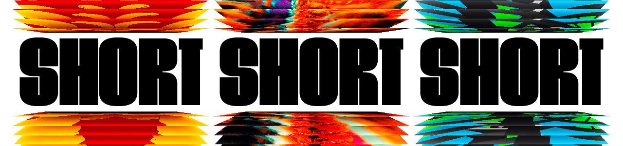 Wouter Jansen – festivalové strategie pro krátké filmy