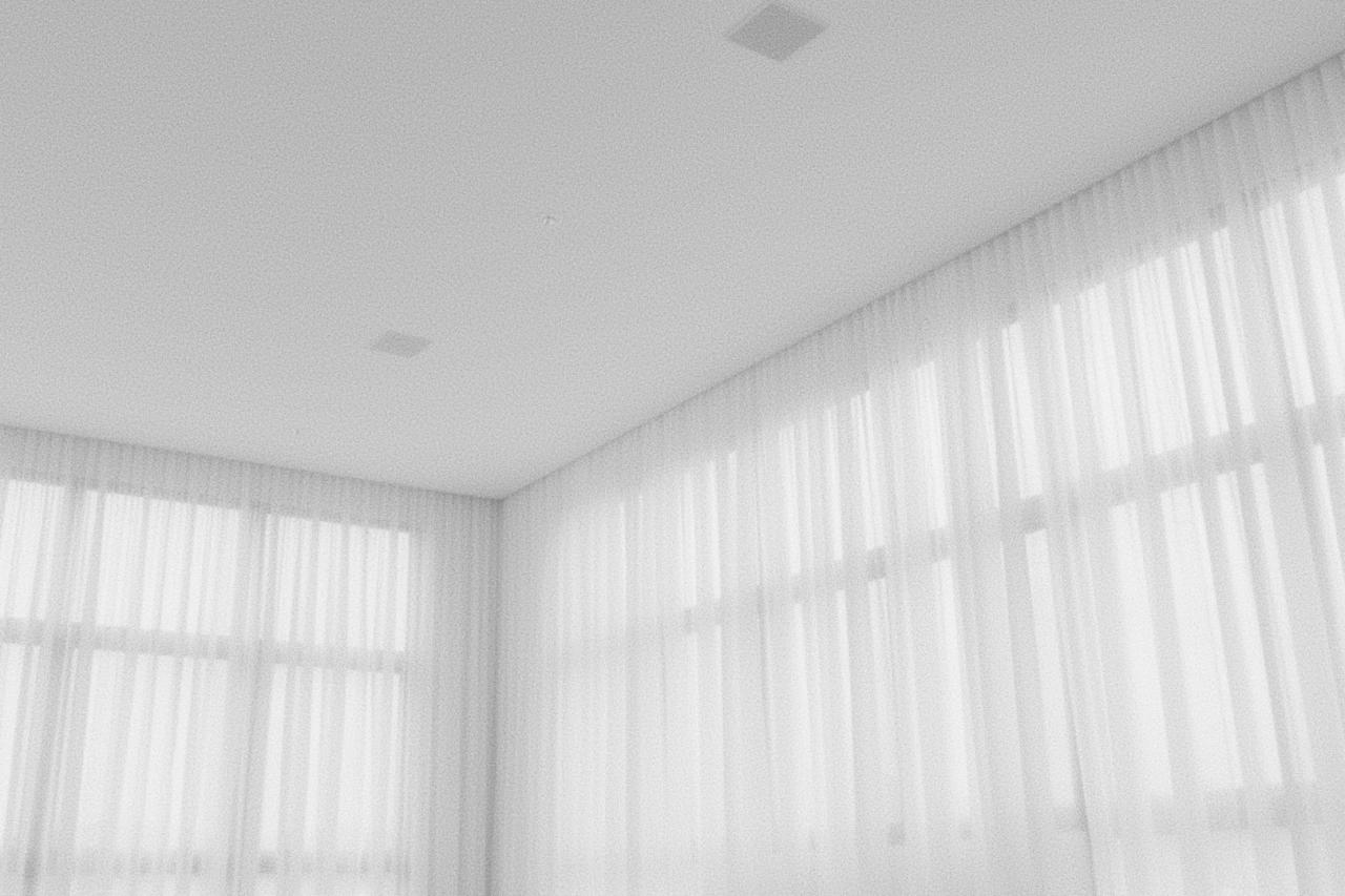 Archi shorts | Fascinace