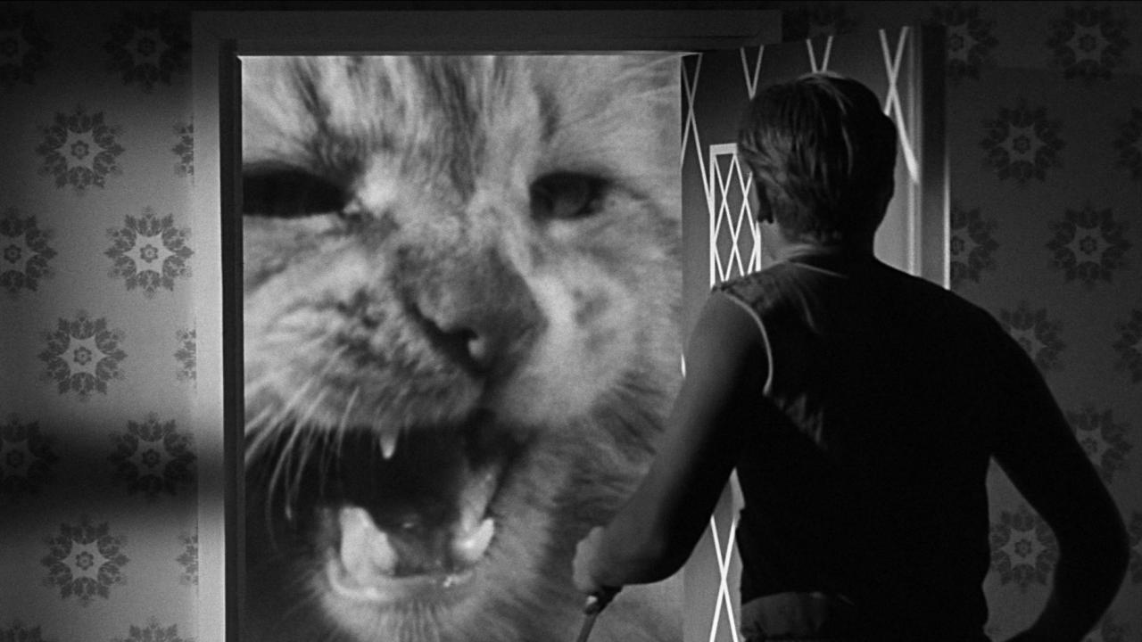 Neuvěřitelný zmenšující se muž