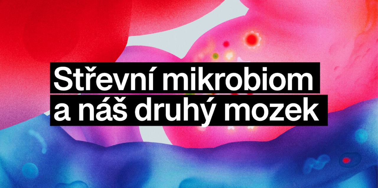 Střevní mikrobiom a náš druhý mozek