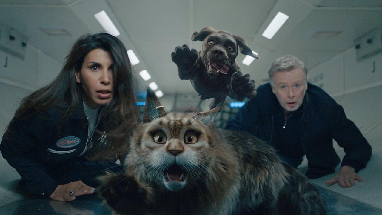 Kočka a pes: Šílené dobrodružství