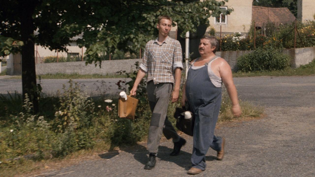 Vesničko má, středisková