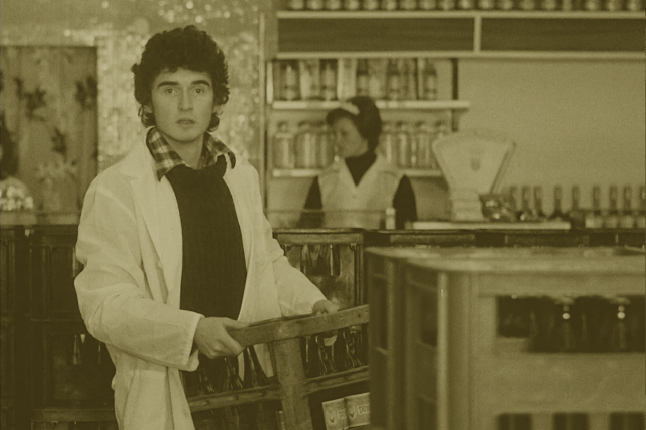 LEV SALONU - Josef Havlíček | Panelstory