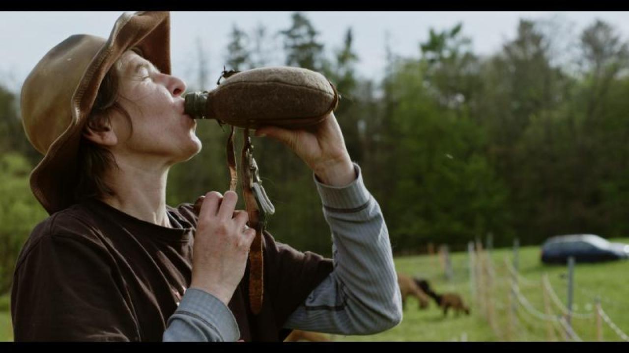 FF41: A žili šťastně až do smrti