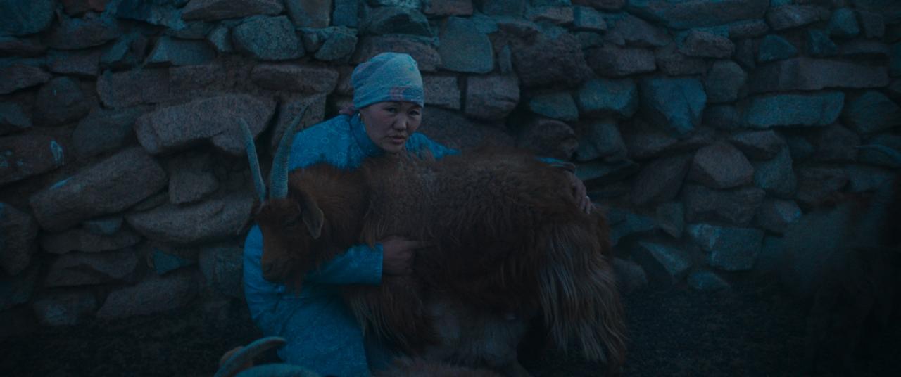 Vlci vždy přichází v noci