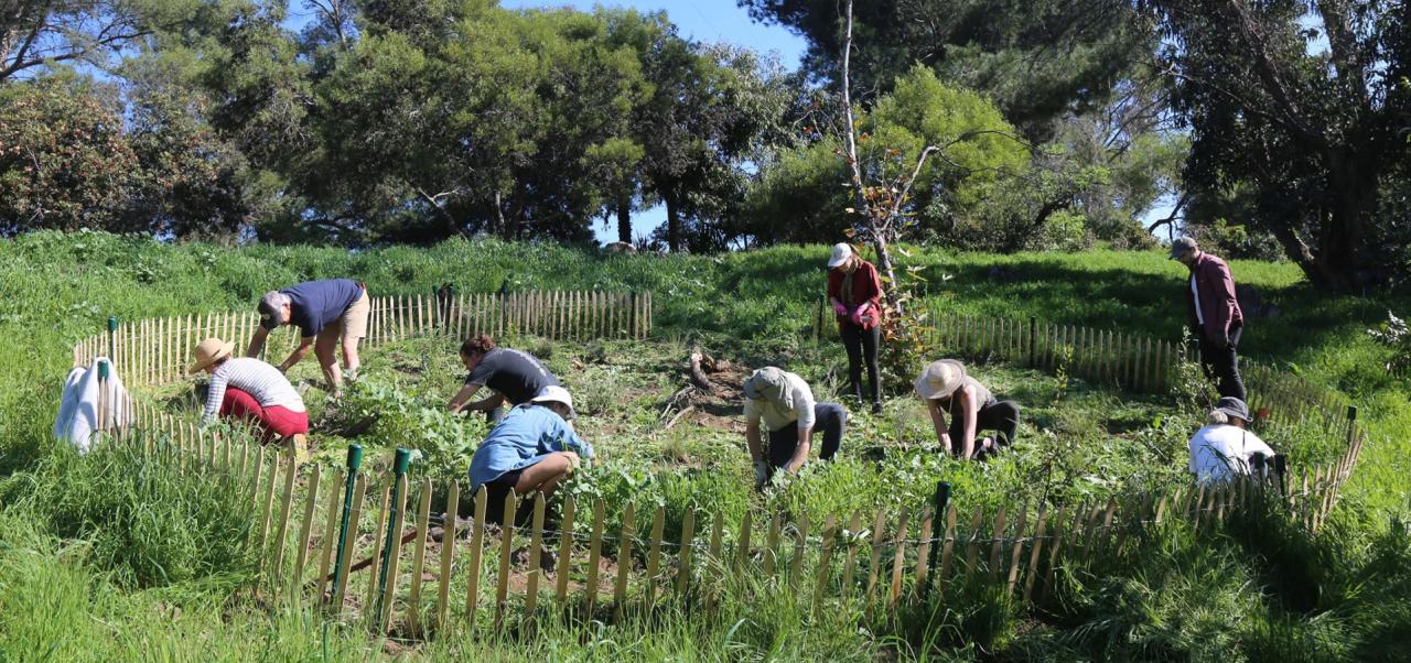 KRA/JINÁ II | David Godshall, TERREMOTO  /USA