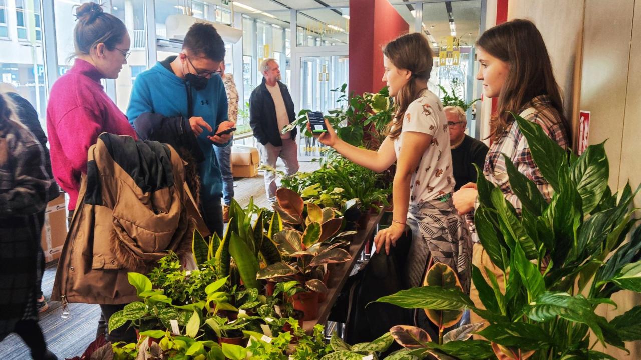 Farmářky z paneláku