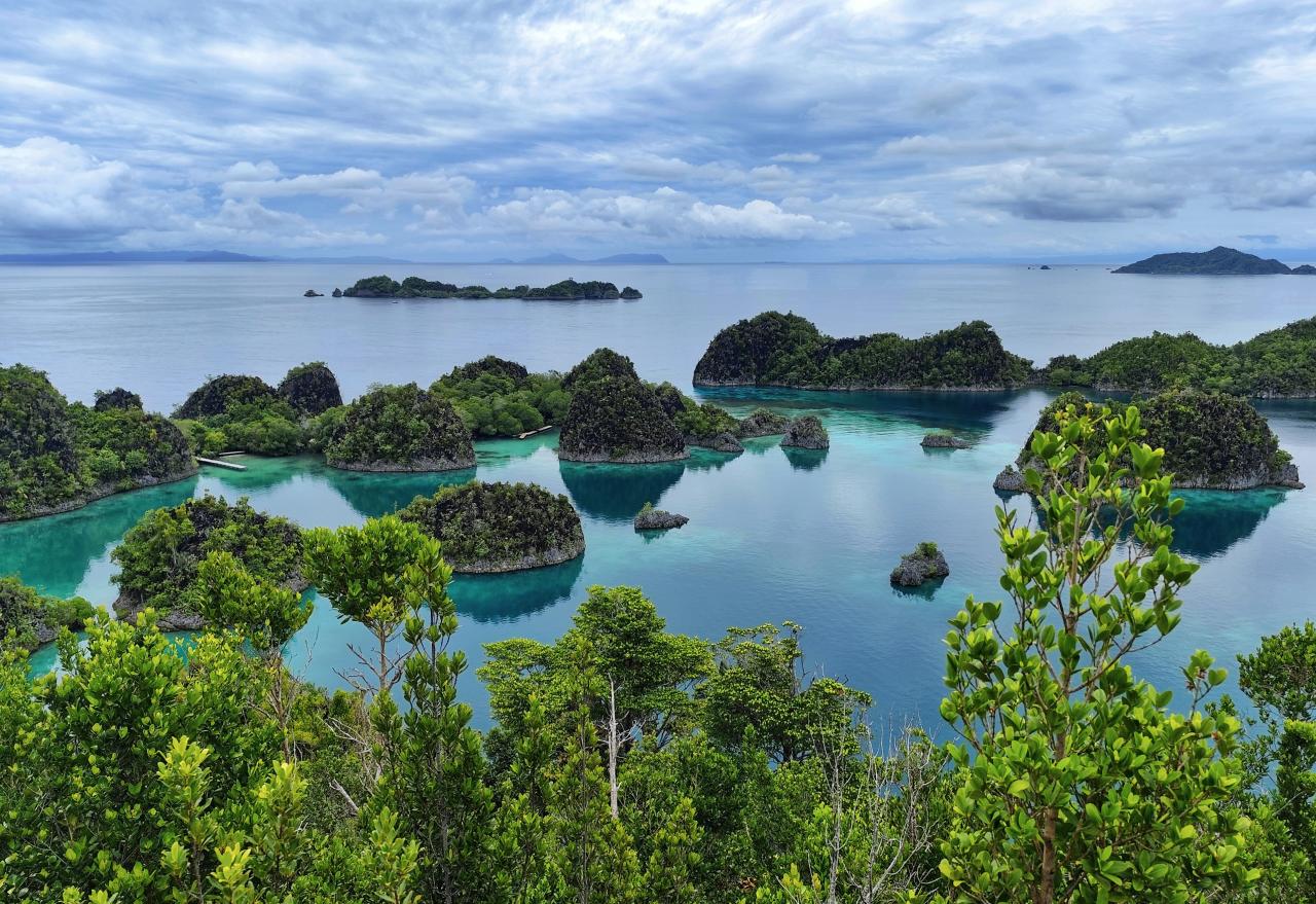 Cestuji za kačku | Kateřina Ostrá – Malajsie, Singapur, Raja Ampat