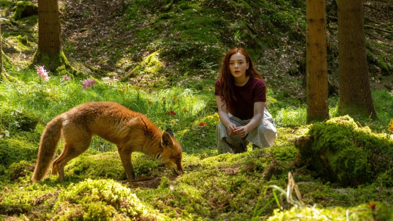 Dívka jménem Willow