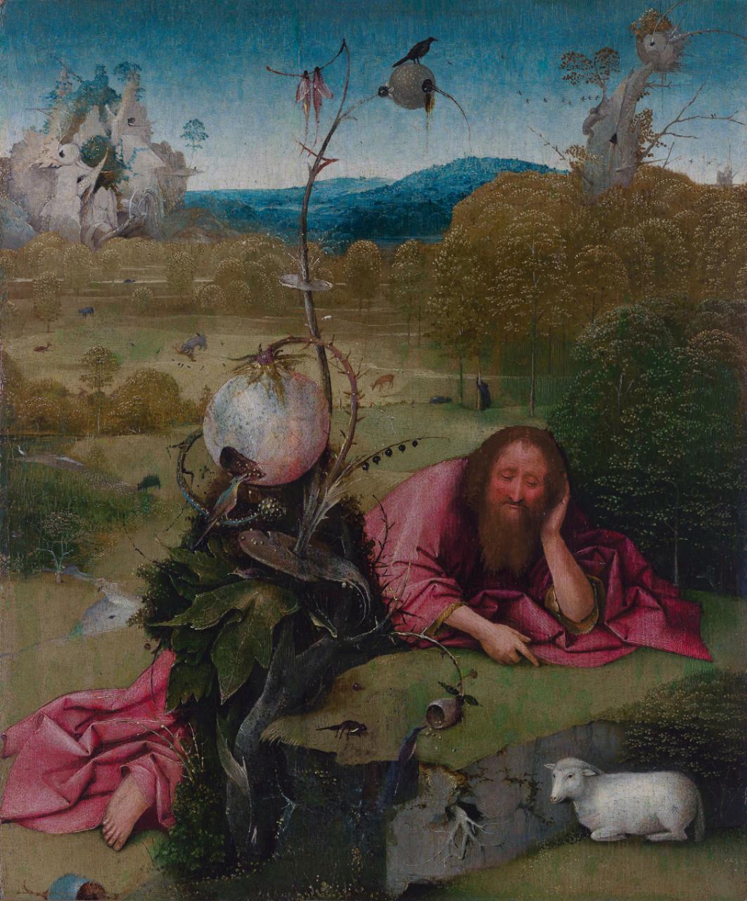 Hieronymus Bosch a jeho podivuhodný svět
